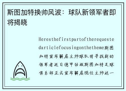 斯图加特换帅风波：球队新领军者即将揭晓